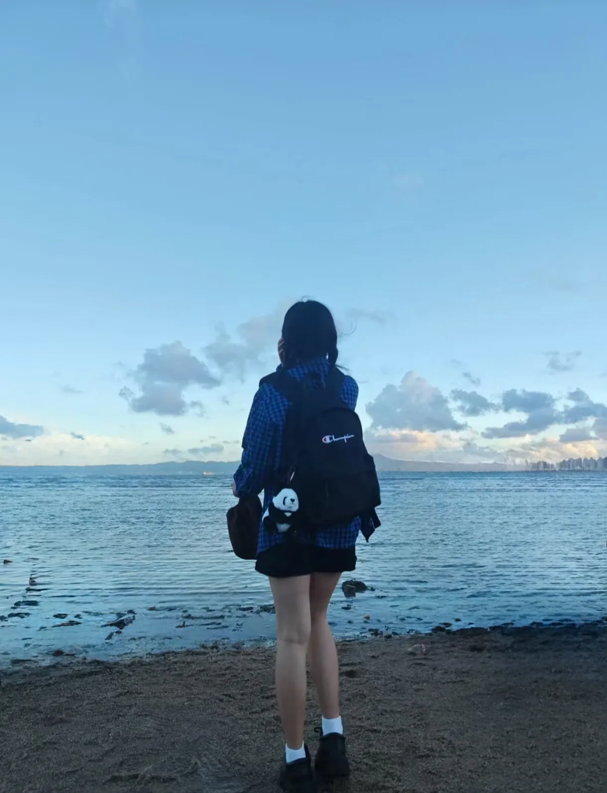 消除后:干扰元素被移除,背景恢复完整 室外场景消除后画面干净整洁