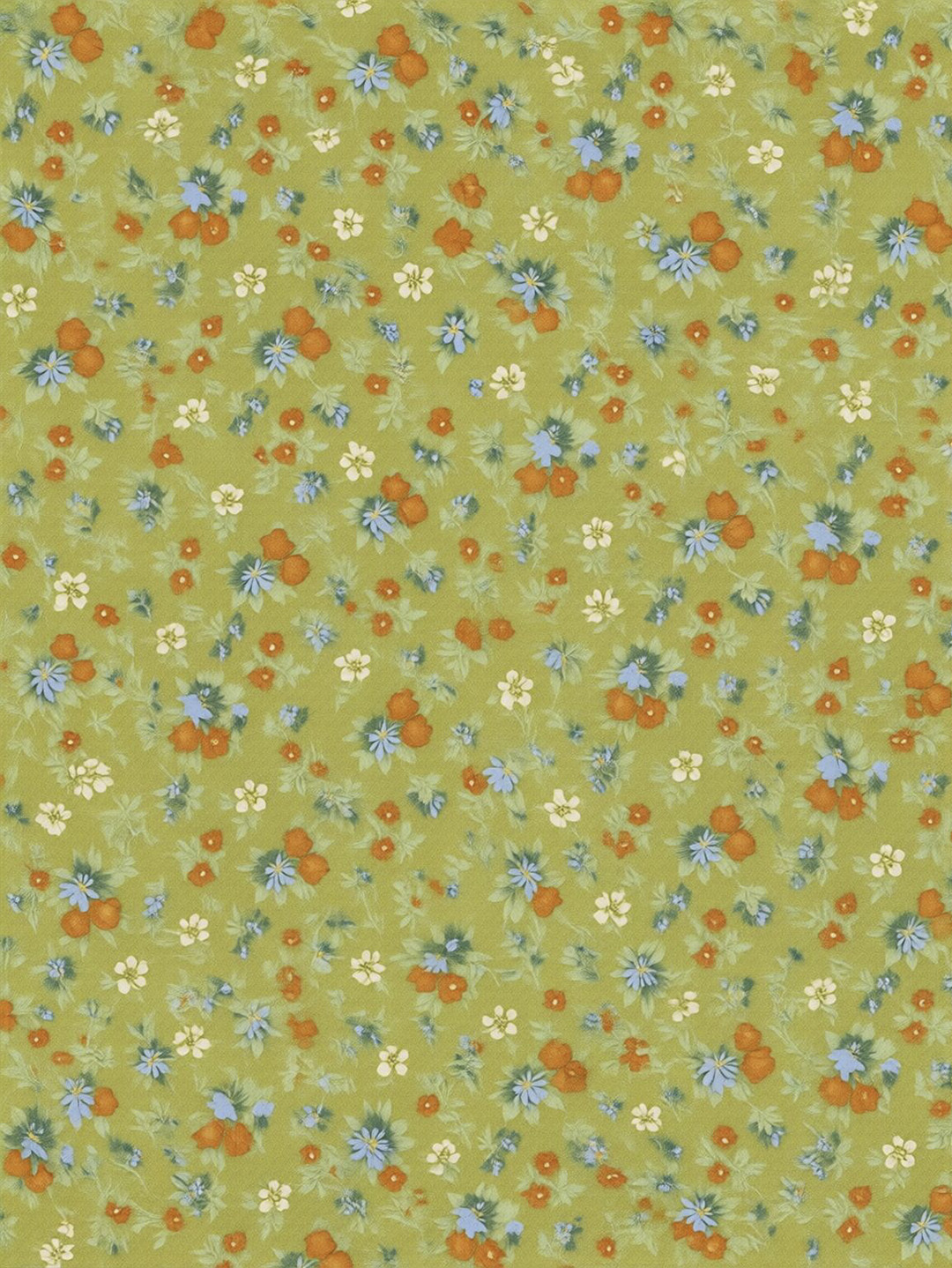 第二组提取后效果