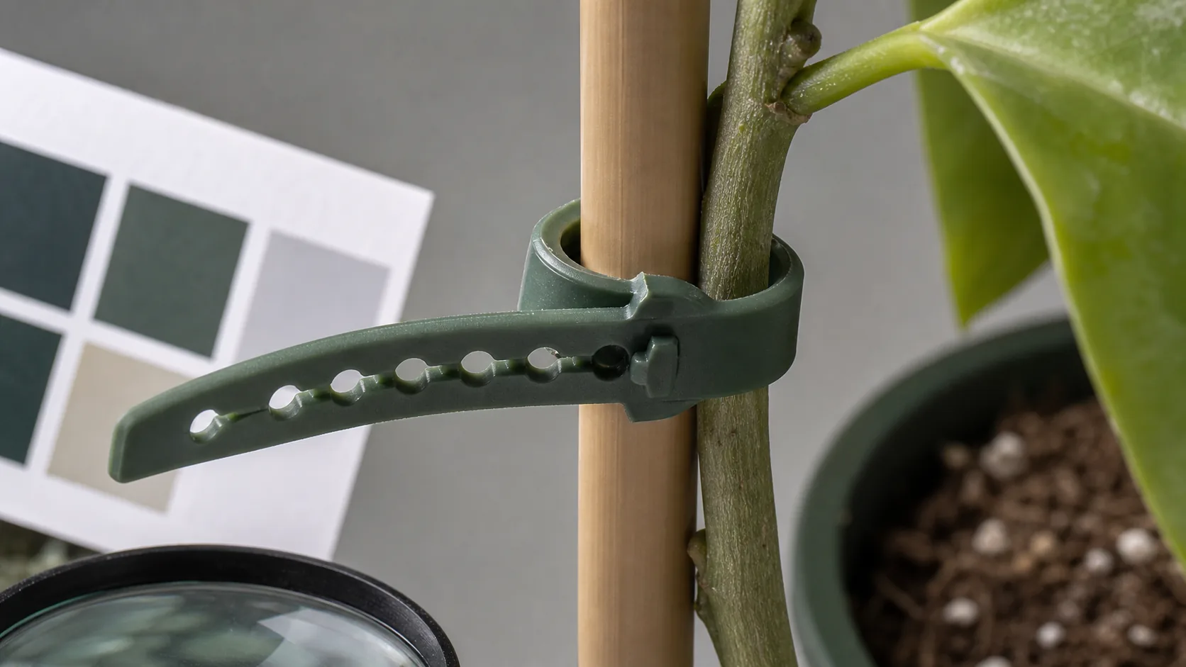 植物绑带软包胶和植株接触线局部放大显示厚度弯折暗线和接触阴影
